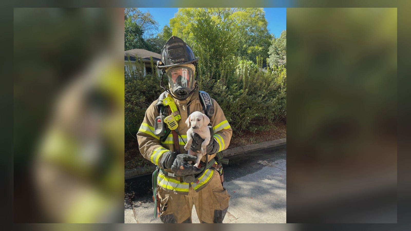 Photo: Savannah Fire Department.